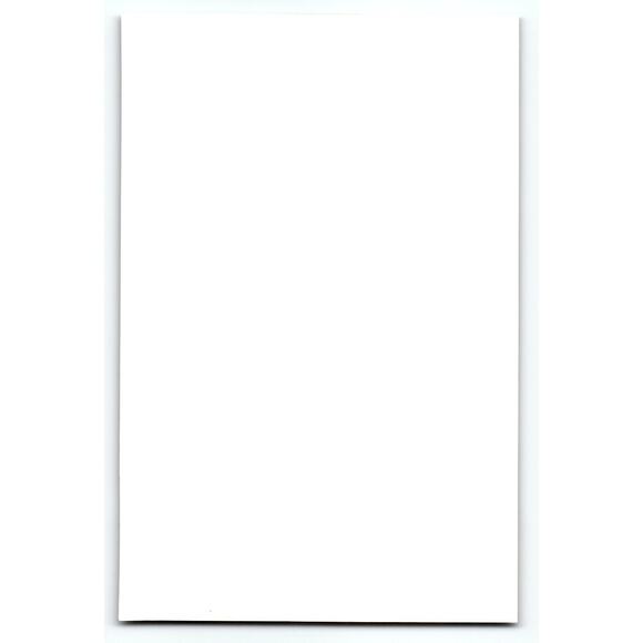 Vintage Halloween Owl with Witch Hat Fantasy Photochrome Postcard 6x4 Chrome - Picture 2 of 2